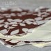 Cloth Baby Wipes Washcloths Toddler Baby Girl Flannel Soft Reusable Set of 4 Brown Cream Leaves - Peaceful Leaves