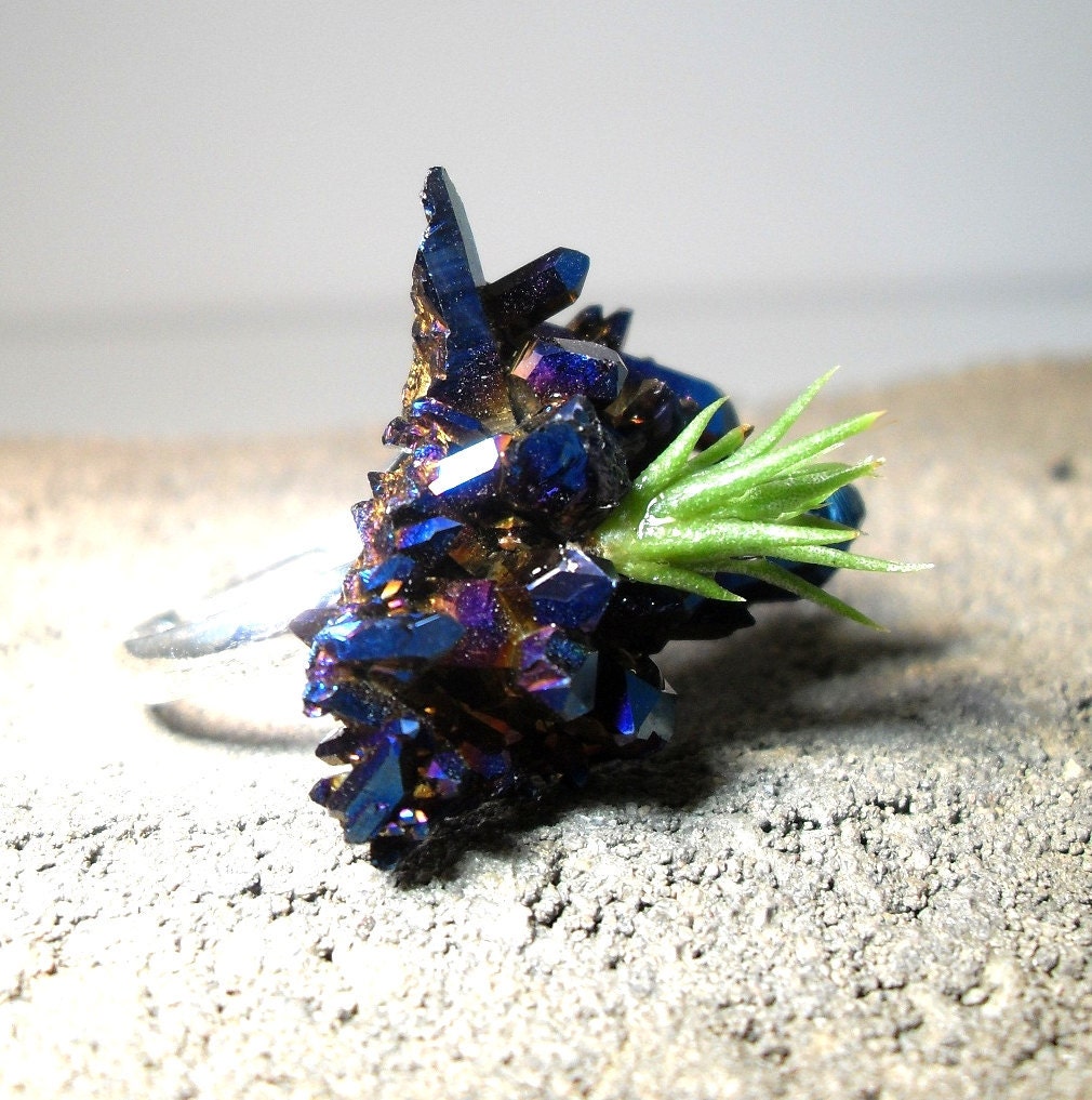 Tillandsia Cobalt Royal Aura Crystal Air Plant Adjustable Ring