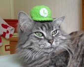 Luigi, Hat For A Cat, Super Mario Crochet Cat Costume