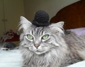 Charlie Chaplin Crocheted Bowler Hat For A Cat