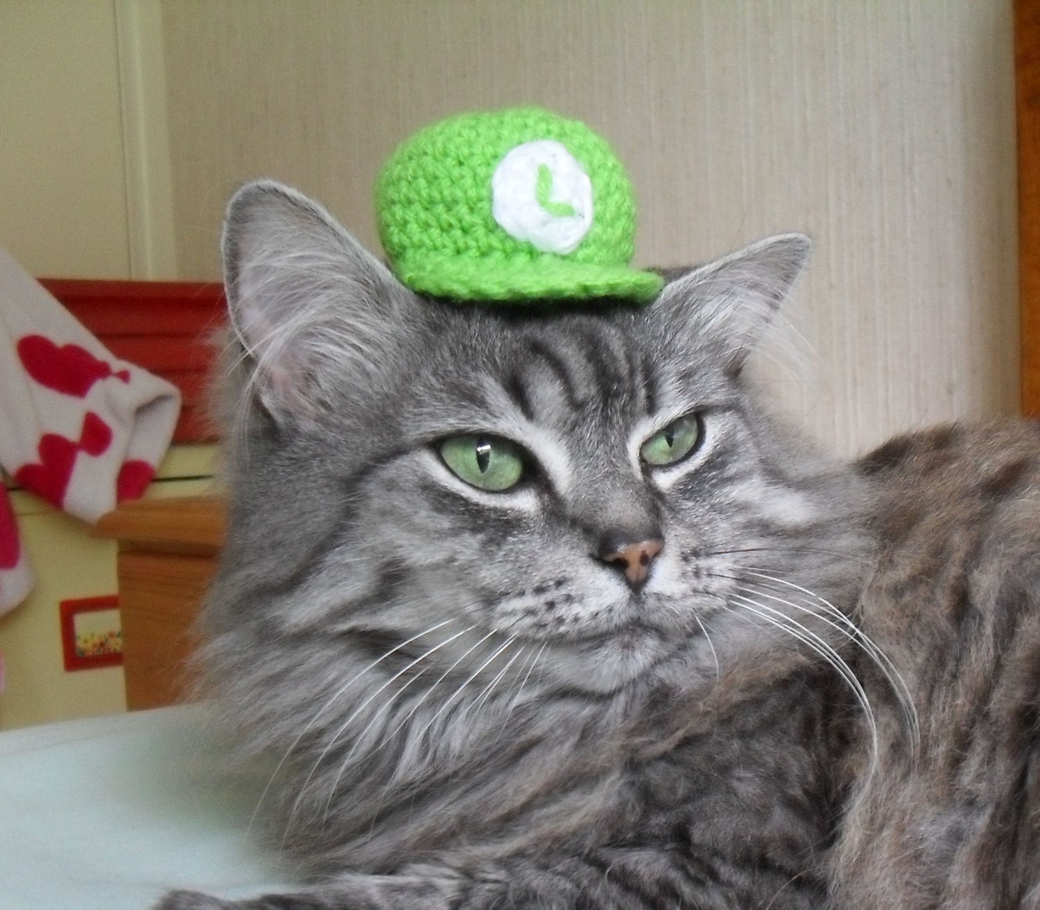 Luigi, Hat For A Cat, Super Mario Crochet Cat Costume