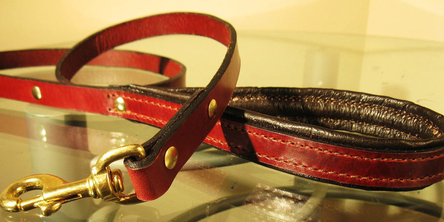 The Standard Leash