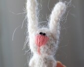small cockeyed hare