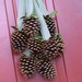 PineCone Cluster/Wreath -Nature Winter Decor-