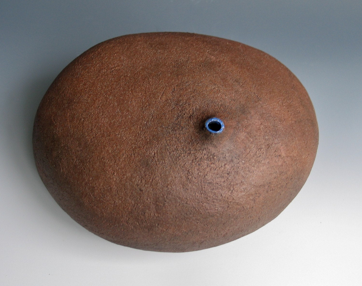 Blue Eyed Vase