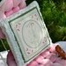 Farmgirl At Heart Green and Cream Pillow Cottage Chic Decor