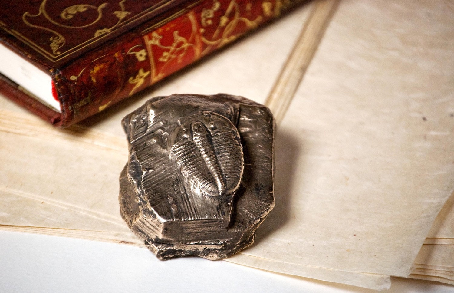 Cast Bronze Trilobite