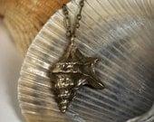 Sea Shell Necklace - Cast Bronze Pelican Shell