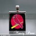 St Louis Cardinals Scrabble Tile Pendant with Shiny Silver Ball Chain