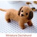 DIY Needle wool felt Miniature dachshund KIT Japanese craft kit