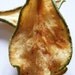 Ginger glazed Pears