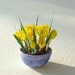 Miniature yellow crocus in a blue glazed ceramic bowl, in 12th, one inch scale