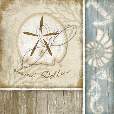 Coastal Seashells - 6x6 Art Print Set
