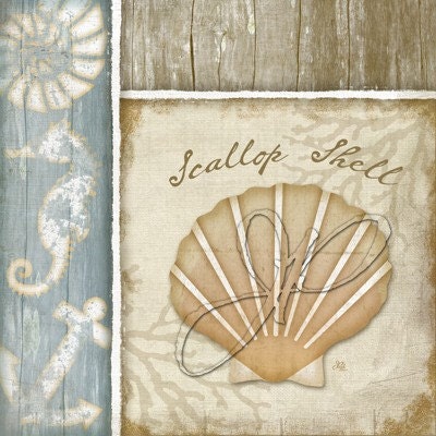 Coastal Seashells - 6x6 Art Print Set