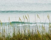 Beach photography, North Carolina, The Long Wait for Summer, 10x16 fine art print - BleuOiseau