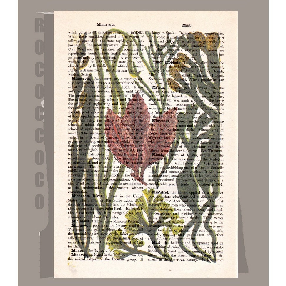 SEAWEEDS  -ARTWORK  printed on Repurposed Vintage Dictionary page -Upcycled Book Print