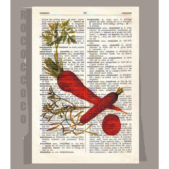 Antique French VEGETABLES/ CARROTS Artwork on a page from vintage Dictionary -Upcycled Book Print