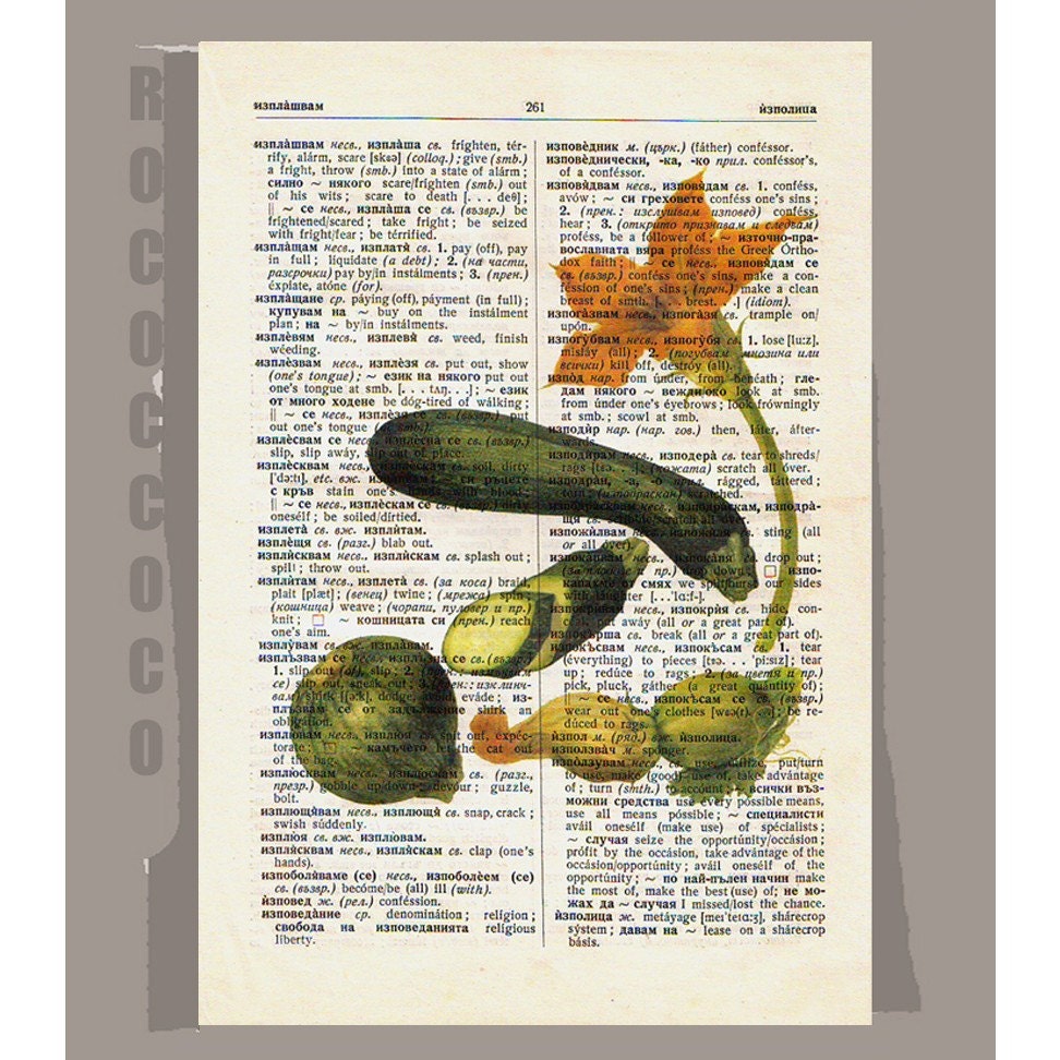 Antique French VEGETABLES/ ZUCCHINI Artwork on a page from vintage Dictionary -Upcycled Book Print