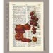 Antique French VEGETABLES/ TOMATOES Artwork on a page from vintage Dictionary -Upcycled Book Print
