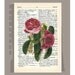 ROSES1 Artwork on a page from vintage Dictionary -Upcycled Book Print