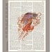 JELLYFISH  - ARTWORK  printed on Repurposed Vintage Dictionary page 8 x 10 -Upcycled Book Print