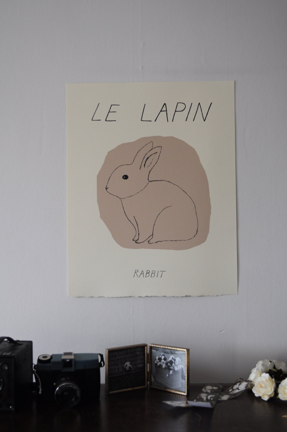 le lapin