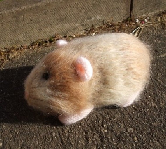 Guinea pig