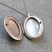 Vintage style Dandelions flower oval Locket - S2014