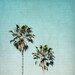 Teal Home Decor - aqua decor, palm trees, beach decor, california beaches, wall decor, summer photography - photo set of 4 - 5x5 Photographs