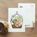 Terrarium Glass Case 1pc