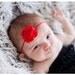 Red Petite Shabby Chiffon Flower Baby Headband - Mini Size for Newborn Babies and Toddlers, Valentine's Day