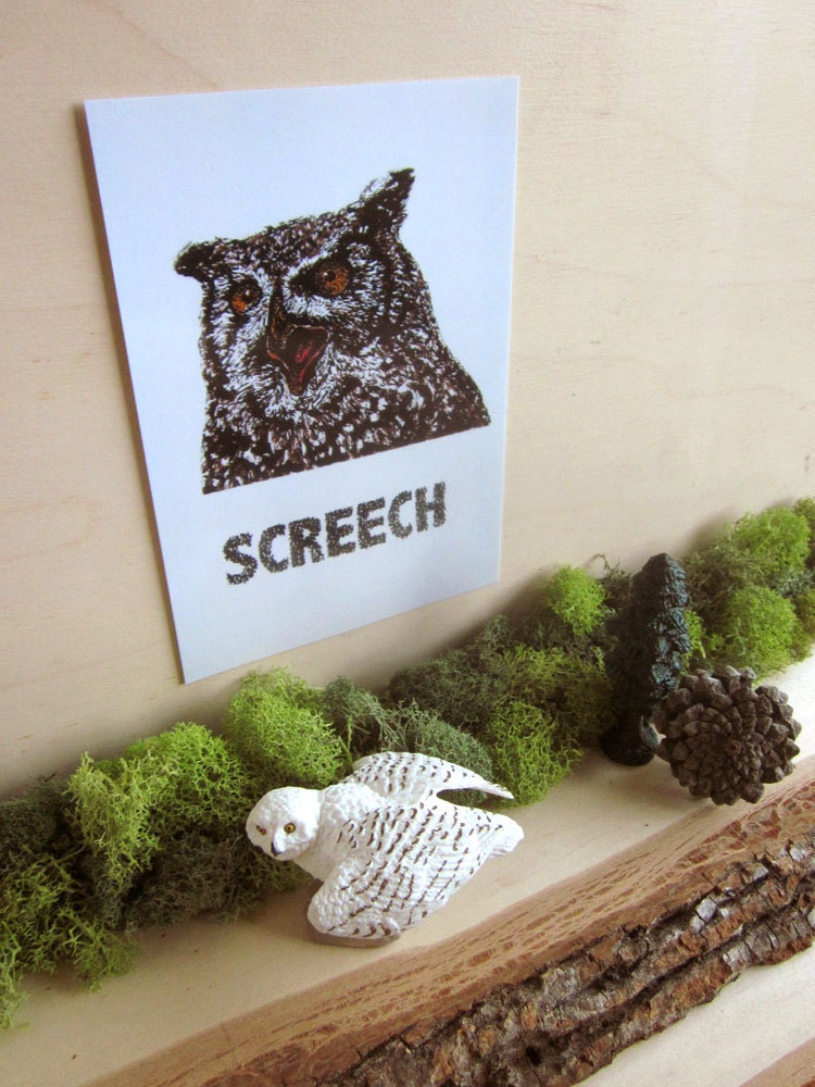 Illustrated Horned Owl Postcard - Screech