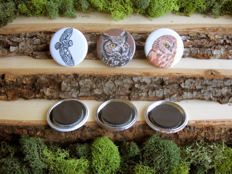 Three Wise Owls - Set of Bird Magnets - 1.5"