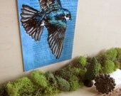 Illustrated Bird Postcard - Tree Swallow Mid-Flight