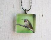 Glass Photo Pendant Necklace Ruby Throated Hummingbird