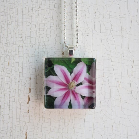Glass Photo Pendant Necklace Spring Pink Clematis Flower