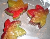 Autumn Apple Scented Maple Leaf Soap  - Vegan guest bath decorative multi