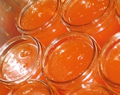 Habanero Jelly 8oz Sweet Super Hot Habanero Gourmet Jelly