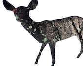 Deer Doe Bark Silhouette : Woodland Animal Photography Print - Eco Home Decor, Cabin Lodge Wildlife Nursery Art 13x19