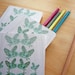 Large Owls Notebook