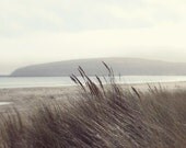 Glistening - Fine Art Landscape photography  - Peacful ocean bay sea grass and sunlight neutral tones 8x10 - GrainnePhotography