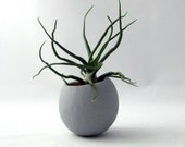 Mini Air Plant Container Pod -Bulbosa // Gray Planter // Home and Garden // Gifts Under 20