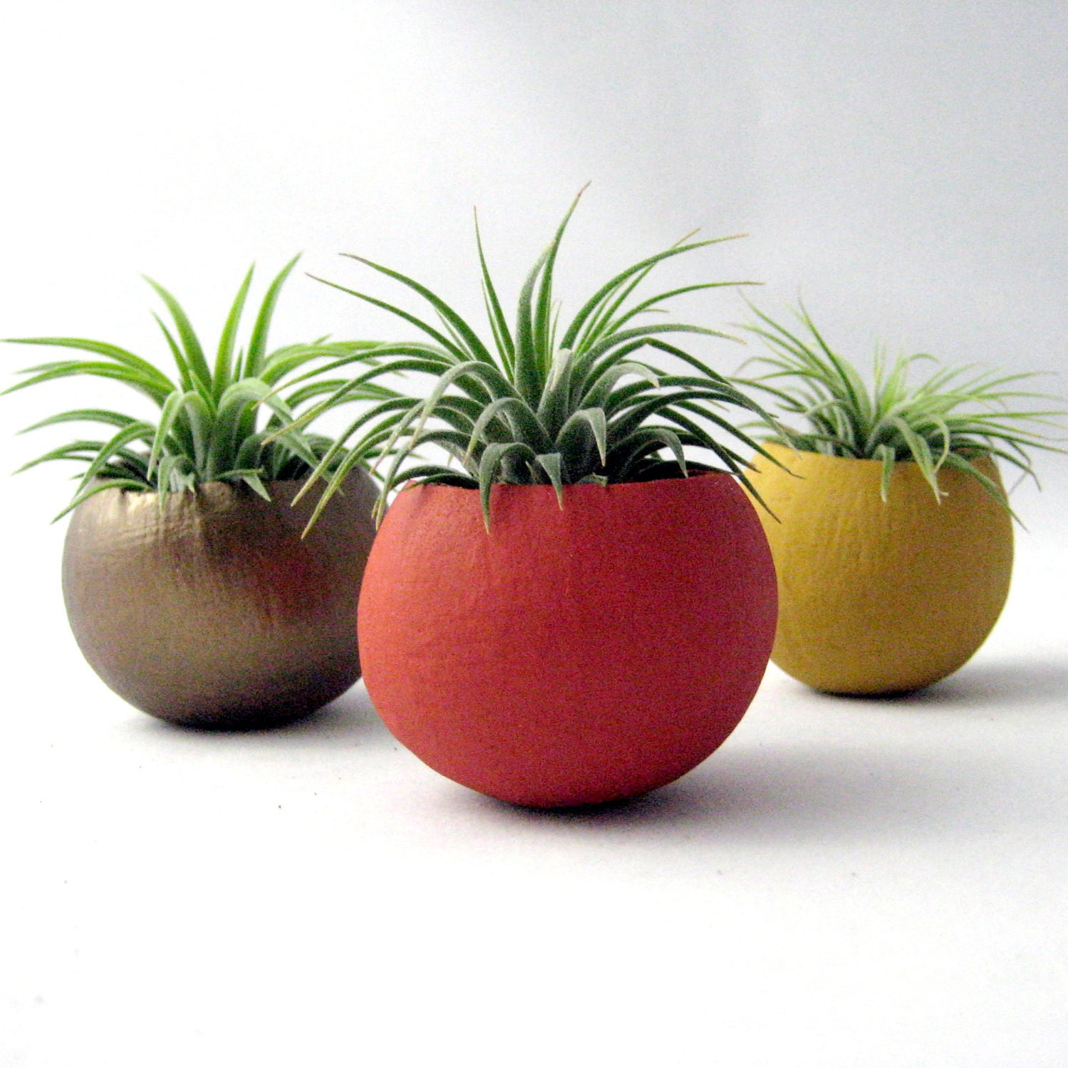 Mini Air Plant Container Pods  - Autumn Colors // Planter // Home and Garden // Gifts under 35