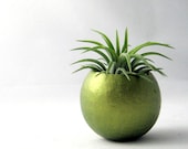 Mini Air Plant  Container Pod - Metallic Green Plant Vessel // Planter // Home and Garden