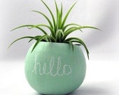Mint Mini Air Plant Container Pod - Hello Chalkboard // Planter // Living Home Decor // Gifts Under 20