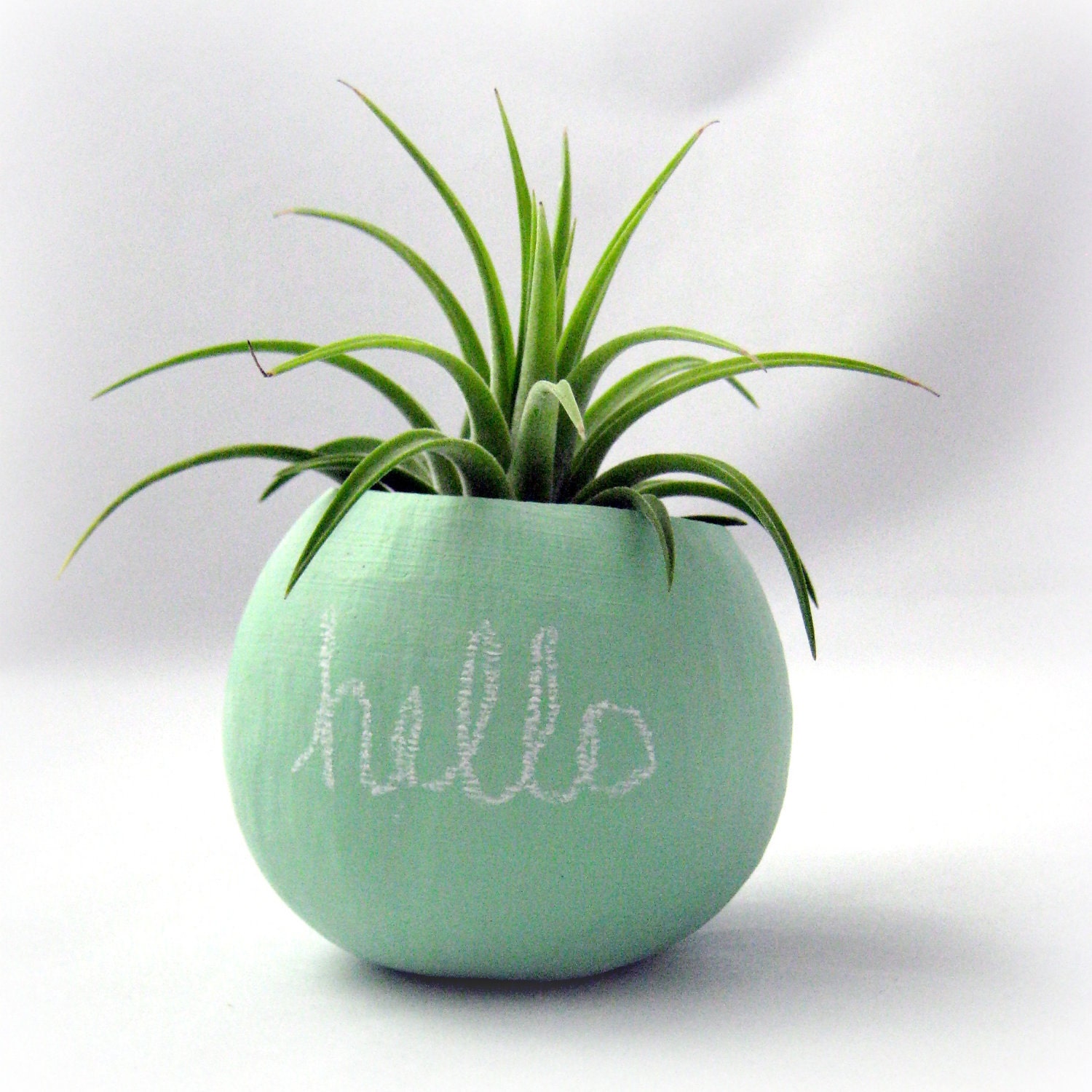 Mini Air Plant Container Pod - Hello Chalkboard // Mint // Planter // Living Home Decor // Gifts Under 20