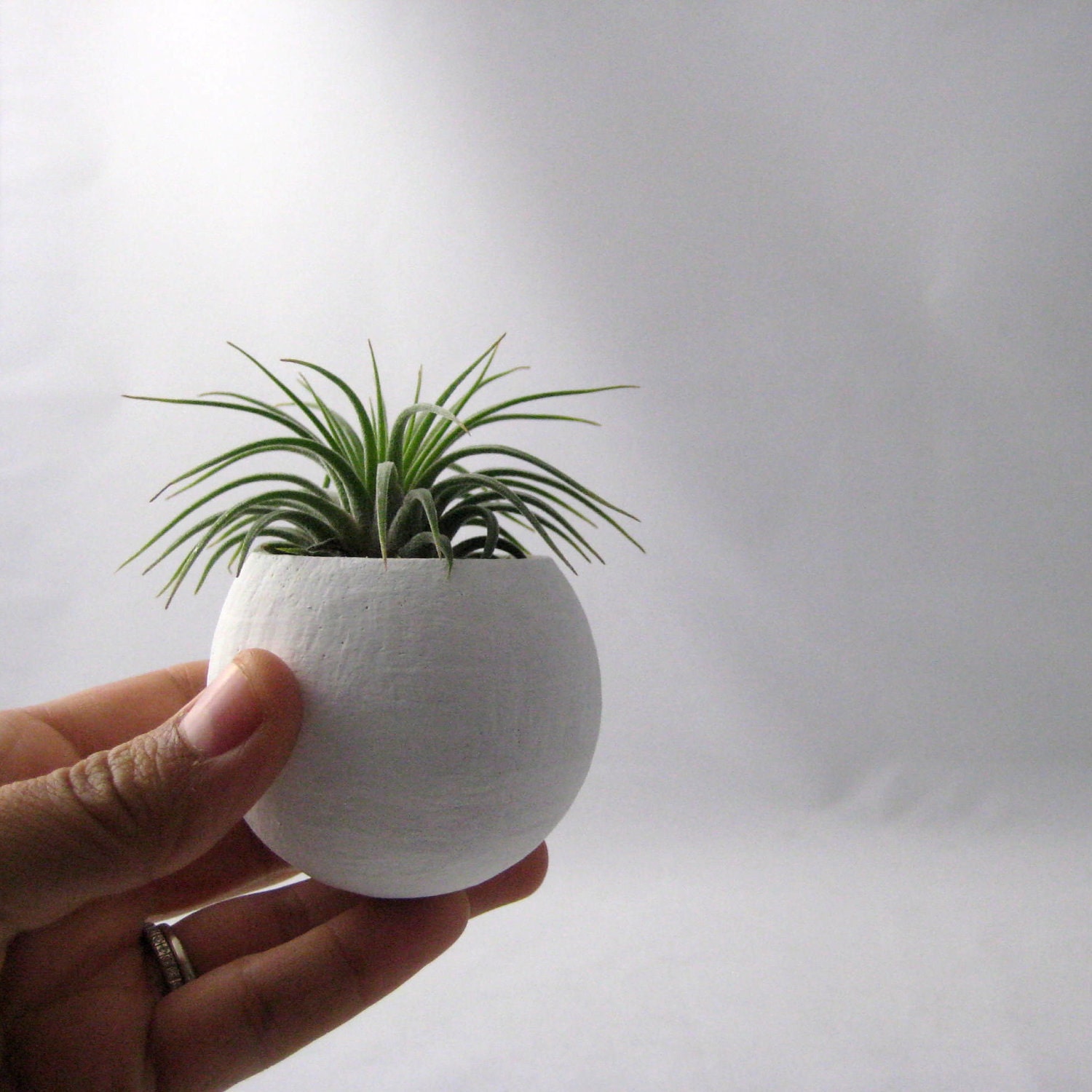 Mini Air Plant Container Pods  - Autumn Colors // Planter // Home and Garden // Gifts under 35
