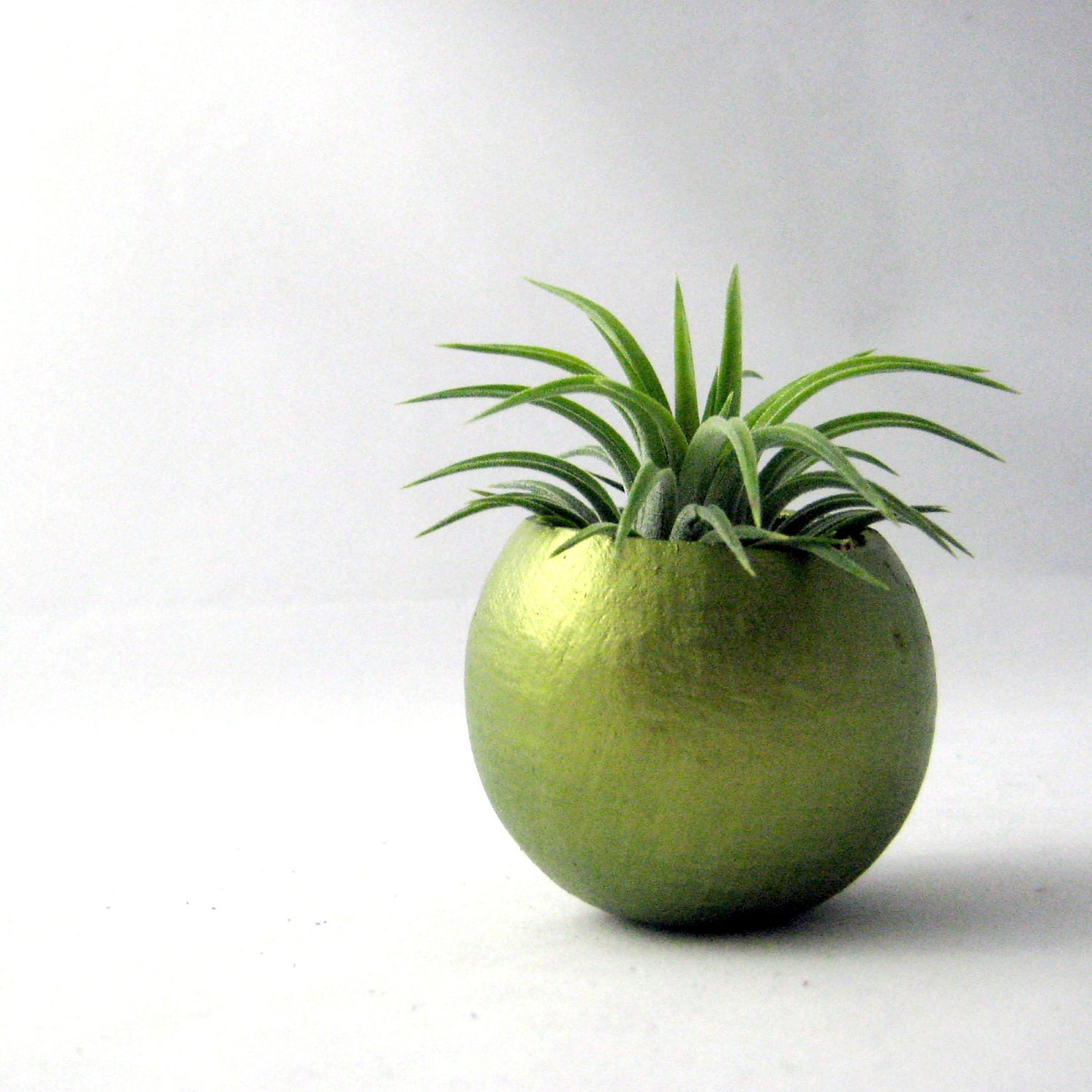 Mini Air Plant  Container Pod - Metallic Green Plant Vessel // Planter // Home and Garden