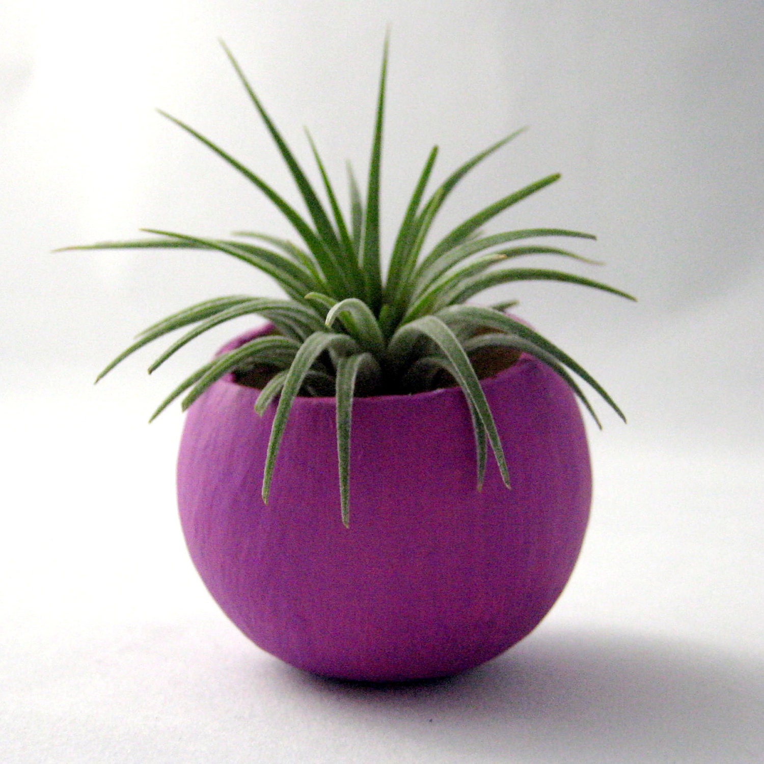 Mini Air Plant Container Pod - Violet Plant Vessel // Planter // Home Decor // Terrarium // Gifts under 20