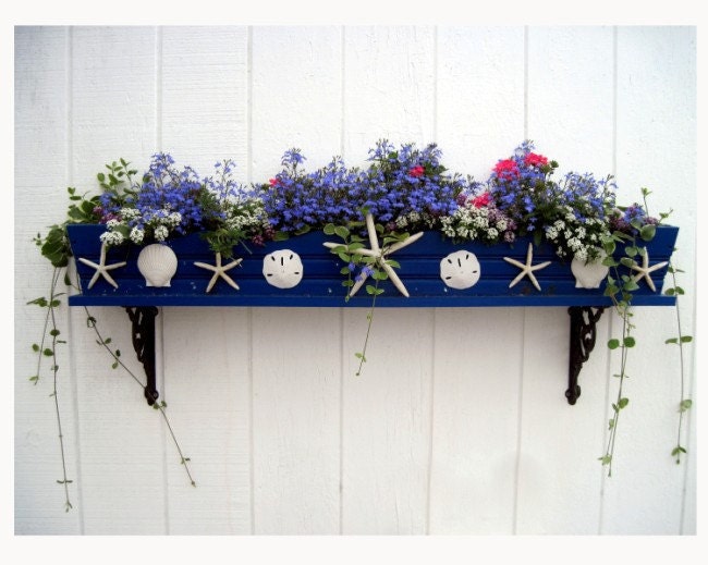 Nautical Flower Box Photograph, 10 x 8,  Old Orchard Beach, Maine, COASTAL MAINE SUMMER, Cottage Seaside Chic Decor , Seaside Blues, Shells